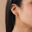 Thin Hoop Earrings Supply