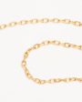 14k Solid Gold 16  Signature Chain Necklace Online Sale