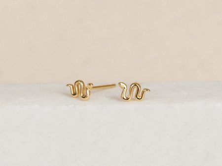 Tiny Python Studs For Sale