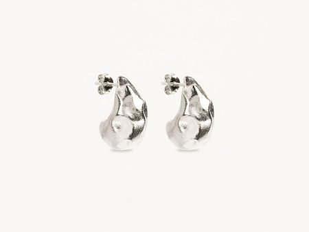 Sterling Silver Wild Heart Large Earrings For Discount