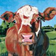 BAKE105 - Henry the Hereford - 12x12 Hot on Sale