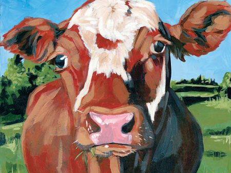 BAKE105 - Henry the Hereford - 12x12 Hot on Sale