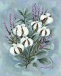 BAKE101 - Lavender in the Light I - 12x16 For Discount