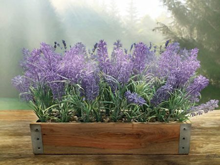 LD1420 - Lavender Planter - 18x12 Sale